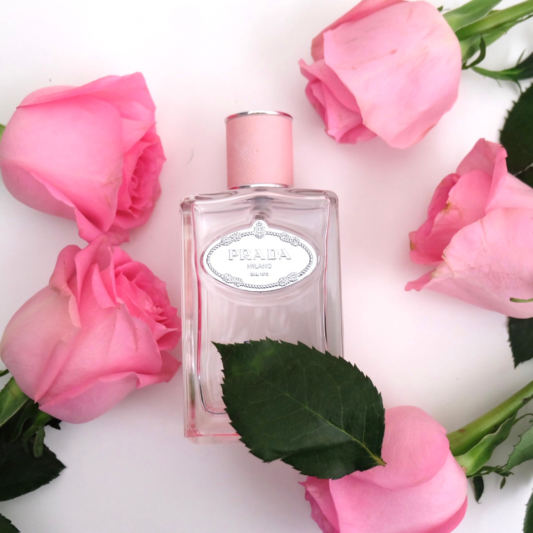 Prada Infusion de Rose review