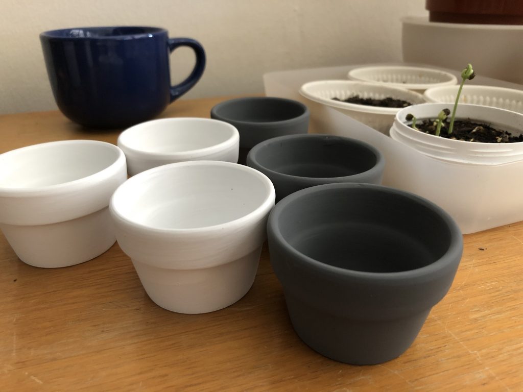 terracota pots for succulents